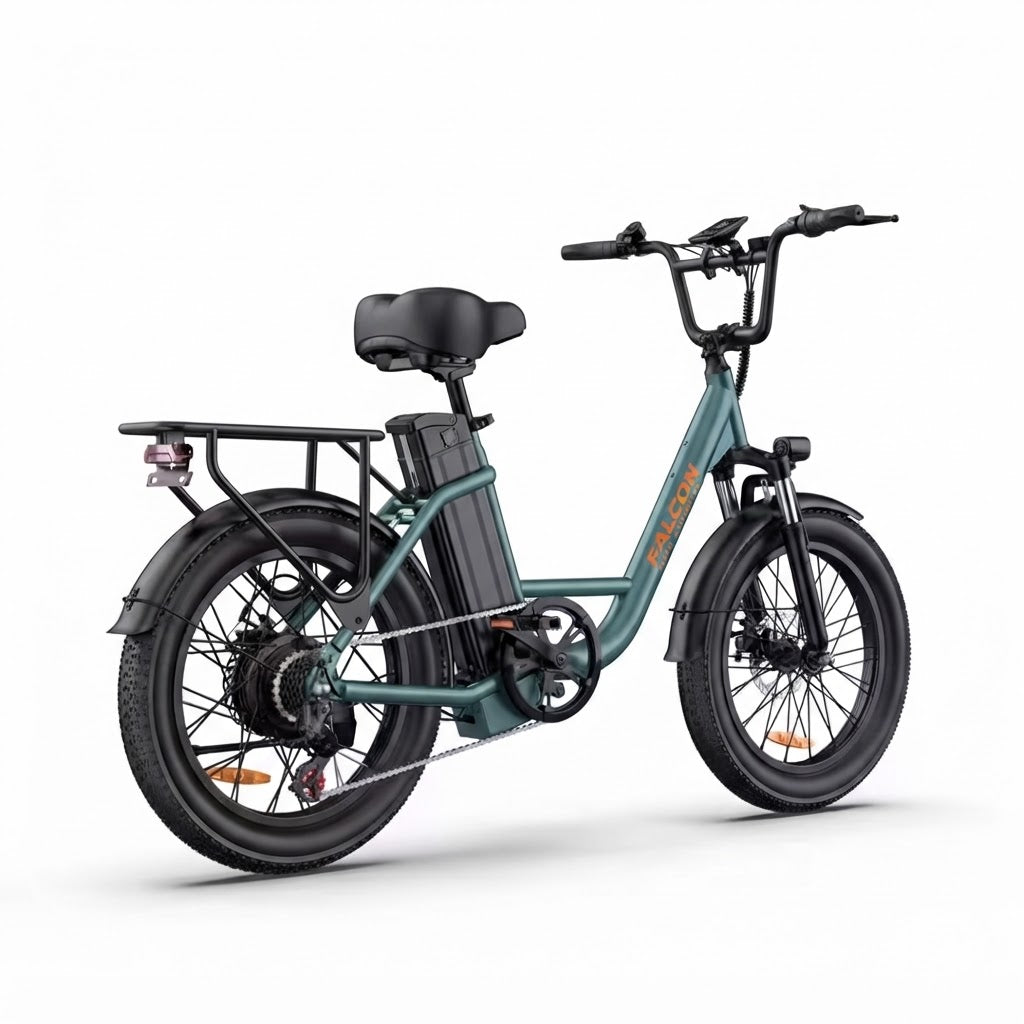 Electric Bike